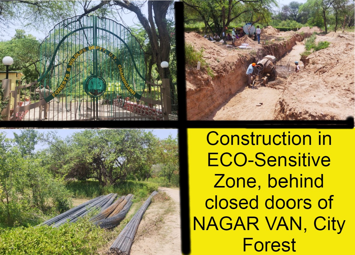 Now, law flouted behind closed doors at Nagar Van