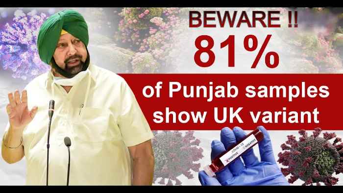 b-1-1-7-uk-variant-found-81-percent-of-samples-of-punjabis